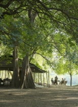 Lale’s Camp
