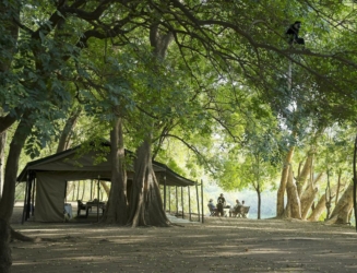 Lale’s Camp