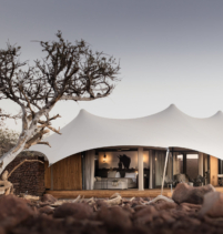 Desert Rhino Camp