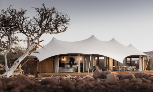 Desert Rhino Camp