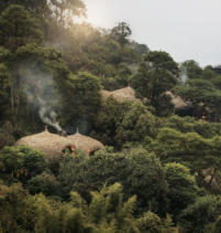 Bisate Reserve